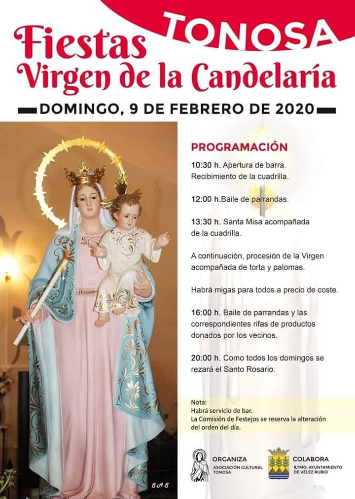 Cartel de la fiesta de Tonosa (Almería)